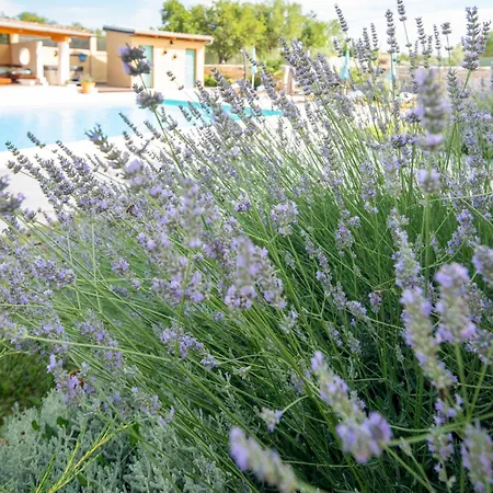 Villa New! Luxury - Pool, Sauna And Jacuzzi
